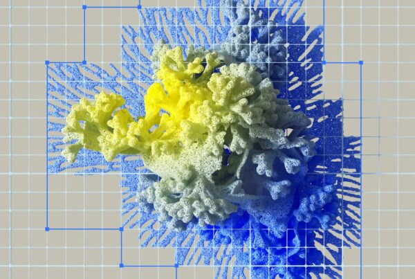 an artist s illustration of artificial intelligence ai this image represents the boundaries set in place to secure safe accountable biotechnology it was created by artist khyati treha